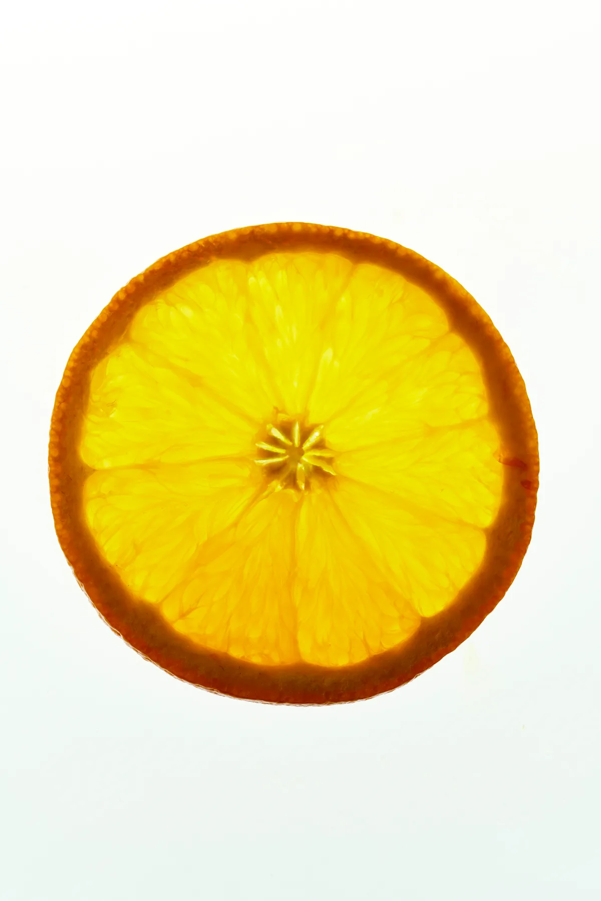 260924_ILGU0046 copy __thumbnail__