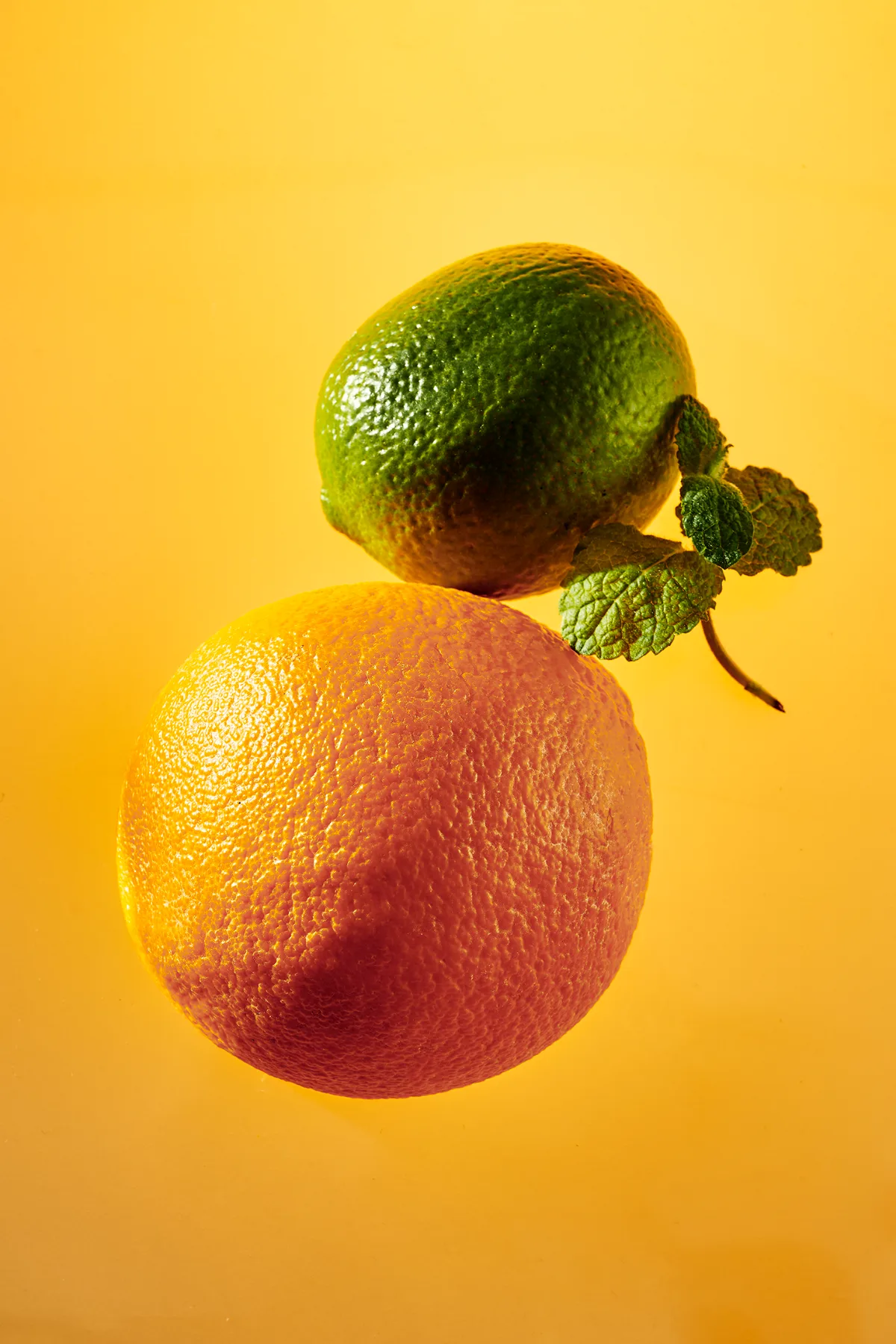 260924_ILGU0147 copy __thumbnail__